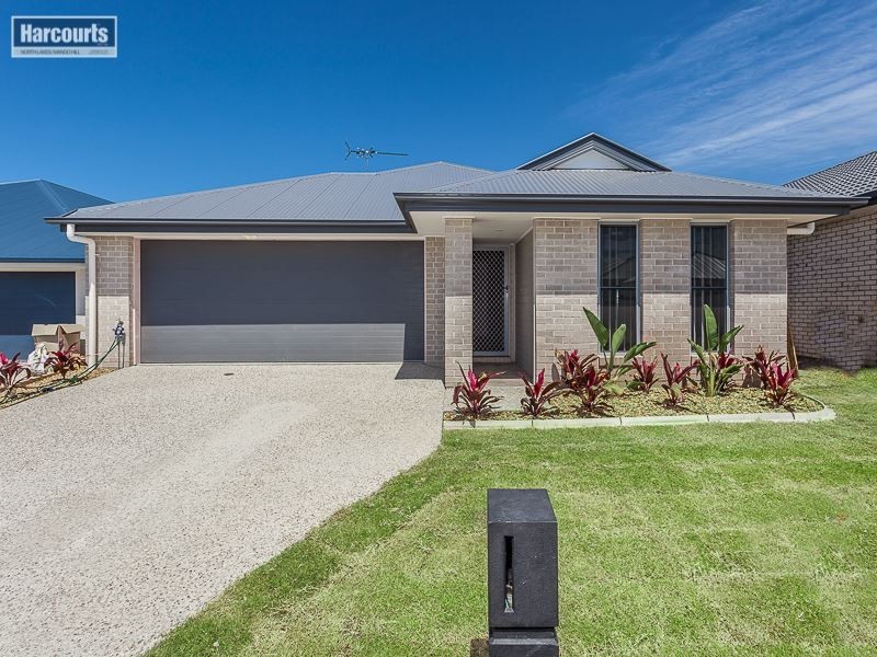 11 Duncan Court, Mango Hill QLD 4509