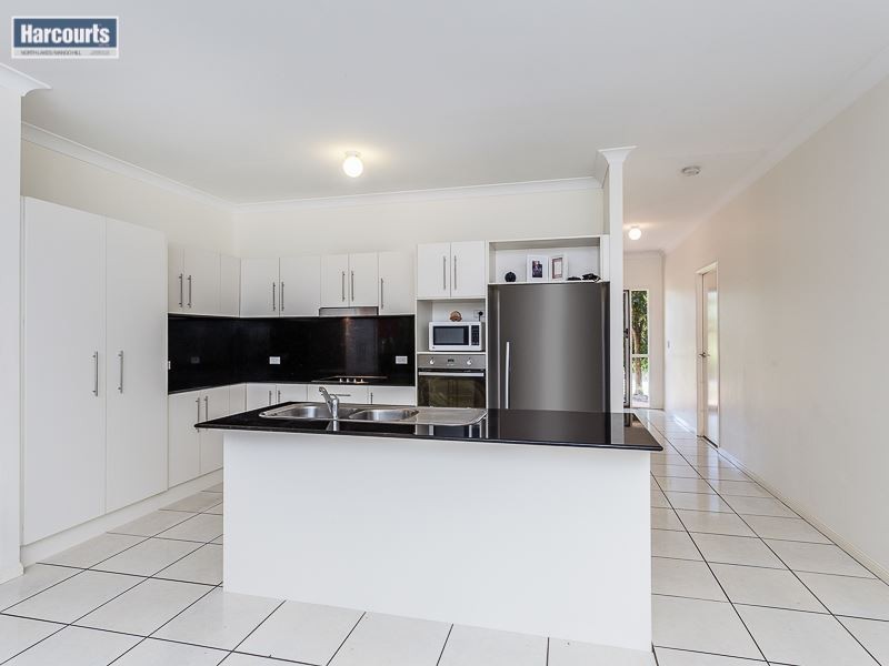 37 Numbat Street, North Lakes QLD 4509