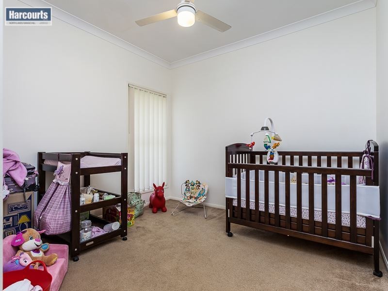 37 Numbat Street, North Lakes QLD 4509