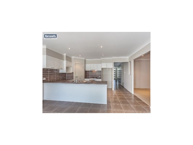 17 Riviera Cresent, North Lakes QLD 4509