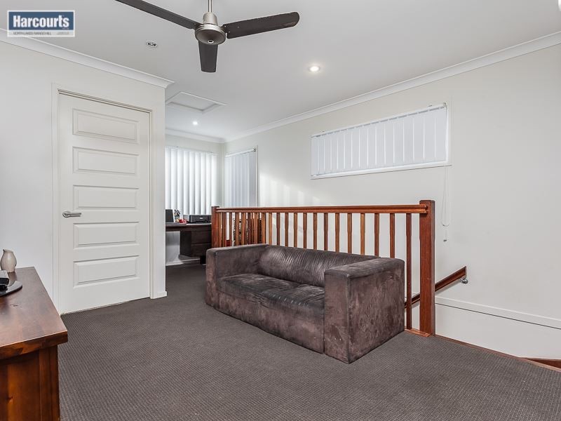 73 Pademelon Circuit, North Lakes QLD 4509