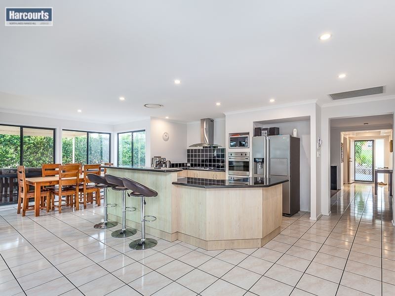 10 Spinebill Court, Mango Hill QLD 4509