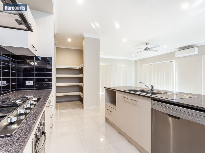 45 Bergamot, Griffin QLD 4503