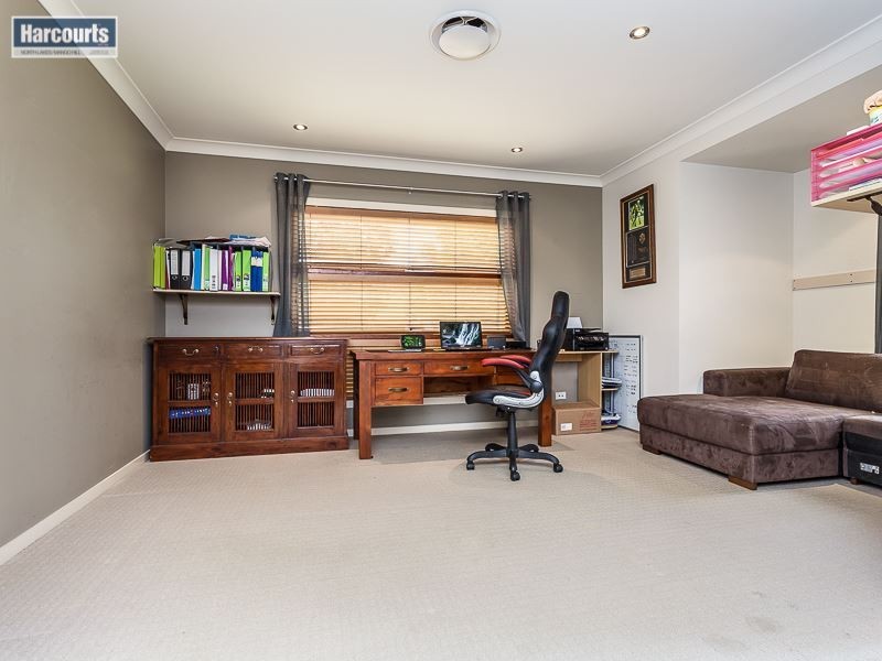 19 Elkington Circuit, North Lakes QLD 4509