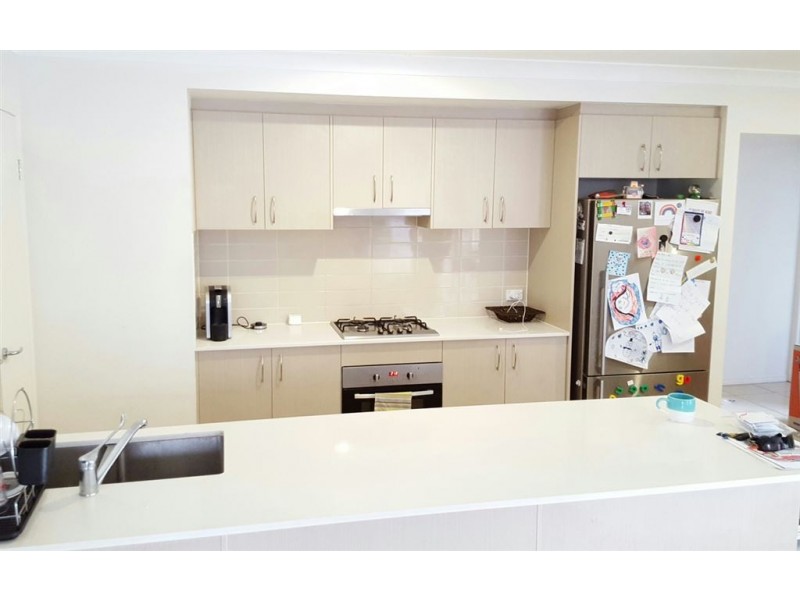 14 Coriander Drive, Griffin QLD 4503
