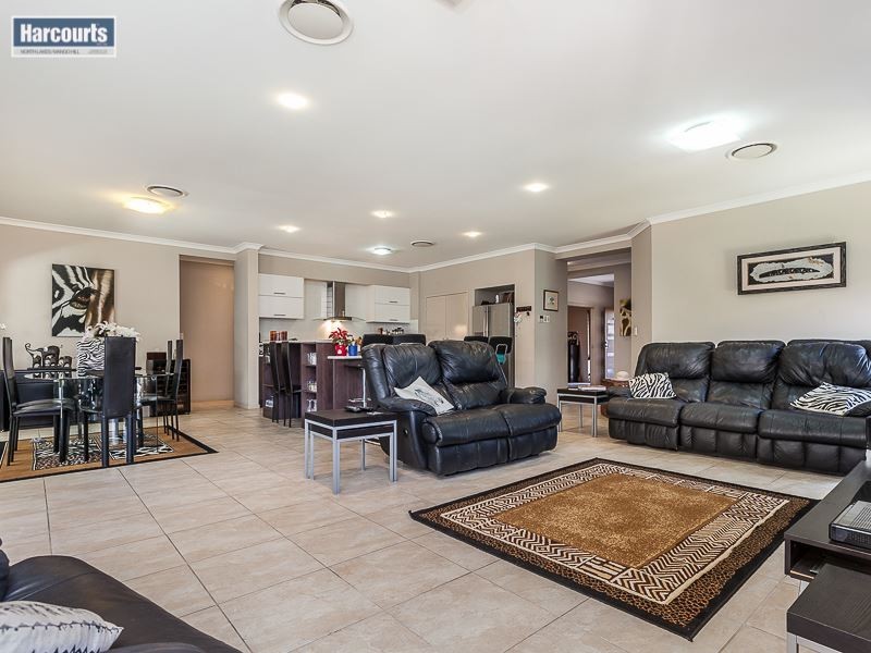 7 Foambark Street, North Lakes QLD 4509