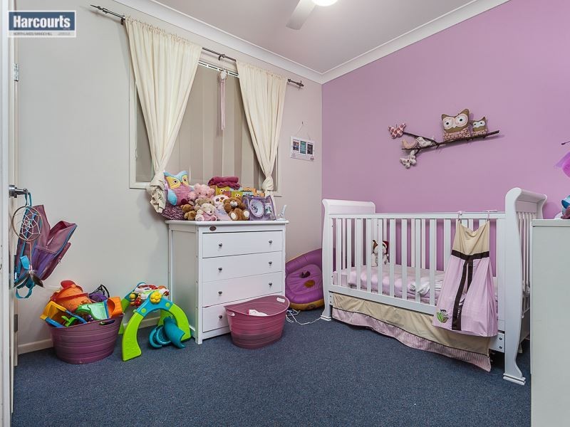 25 Kurrajong Circuit, North Lakes QLD 4509