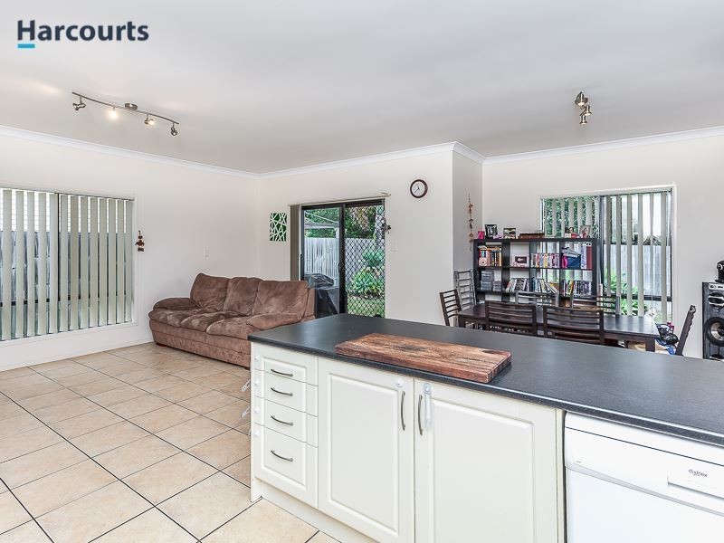 44 Cottonwood Circuit, North Lakes QLD 4509