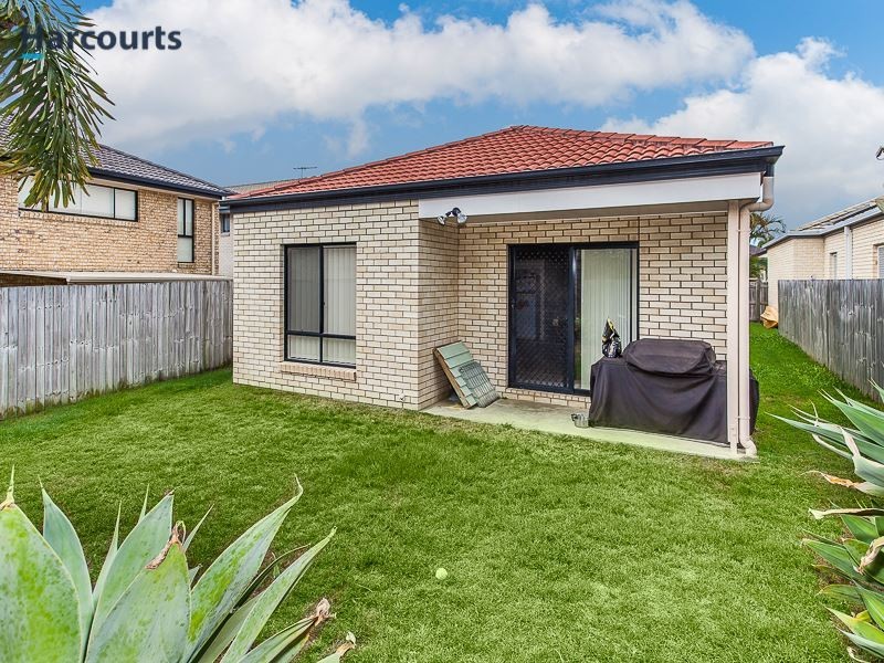 44 Cottonwood Circuit, North Lakes QLD 4509