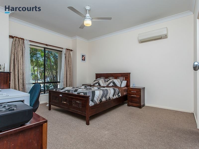 44 Cottonwood Circuit, North Lakes QLD 4509