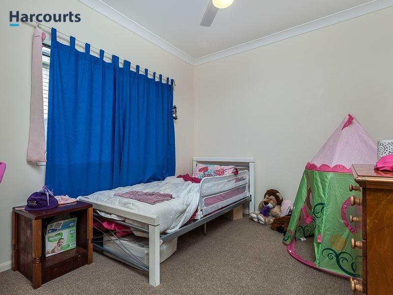 44 Cottonwood Circuit, North Lakes QLD 4509
