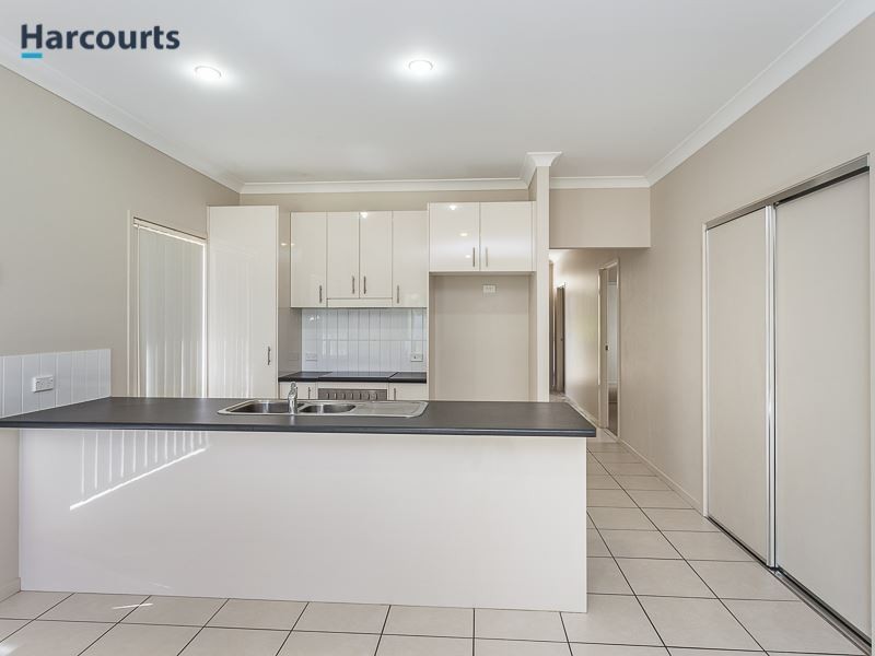 51 Dusky Street, North Lakes QLD 4509