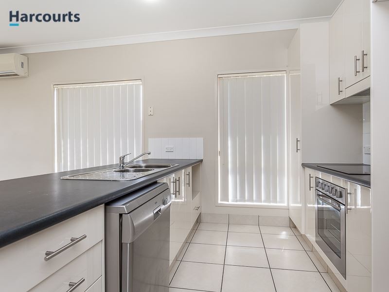 51 Dusky Street, North Lakes QLD 4509