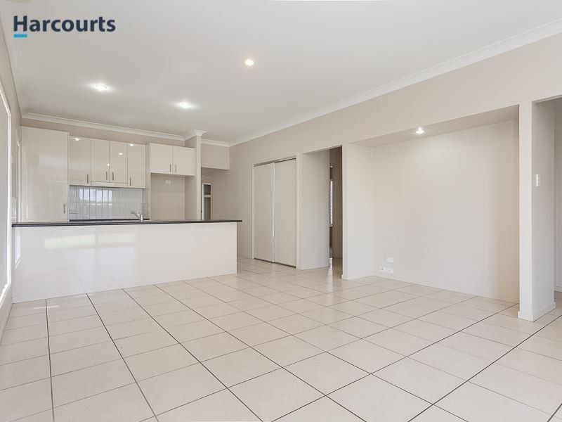 51 Dusky Street, North Lakes QLD 4509