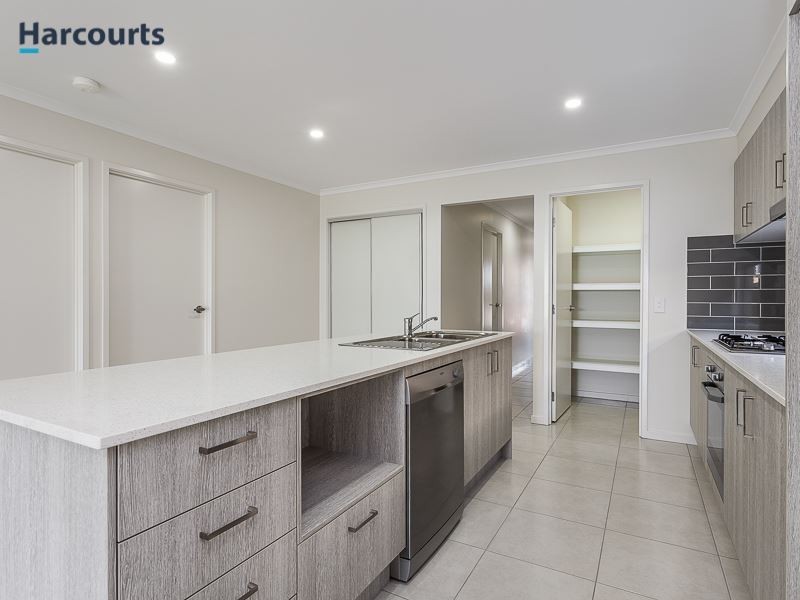 5 Holman Street, Mango Hill QLD 4509