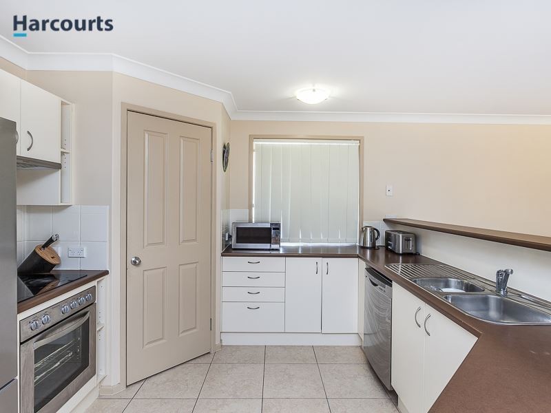 3 Saturn Court, Mango Hill QLD 4509