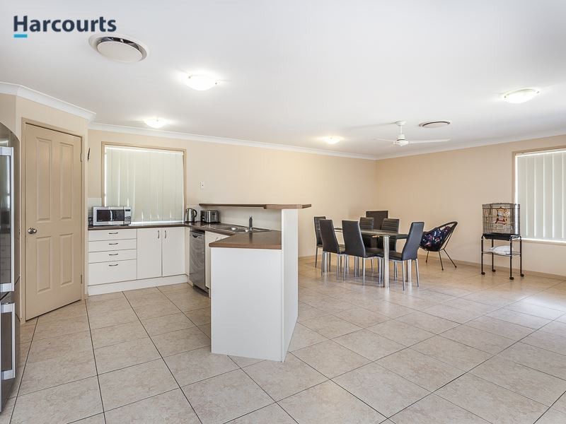 3 Saturn Court, Mango Hill QLD 4509