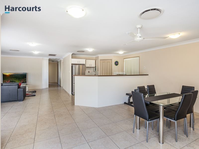3 Saturn Court, Mango Hill QLD 4509