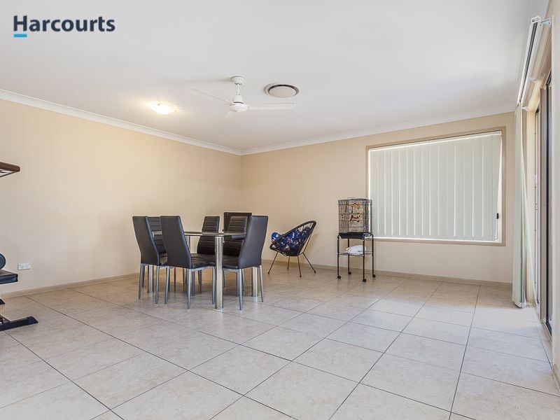 3 Saturn Court, Mango Hill QLD 4509