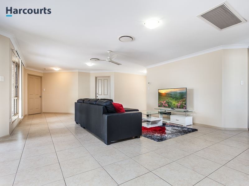 3 Saturn Court, Mango Hill QLD 4509