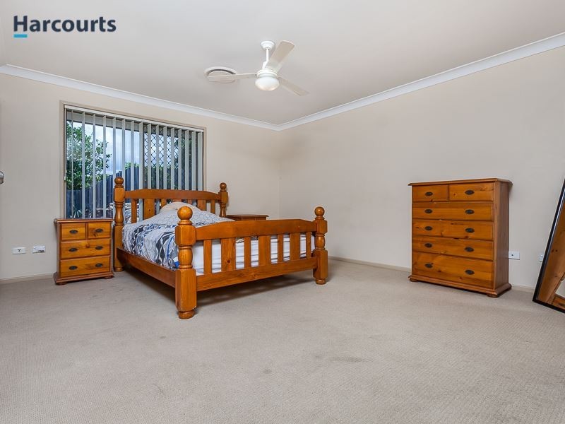 3 Saturn Court, Mango Hill QLD 4509