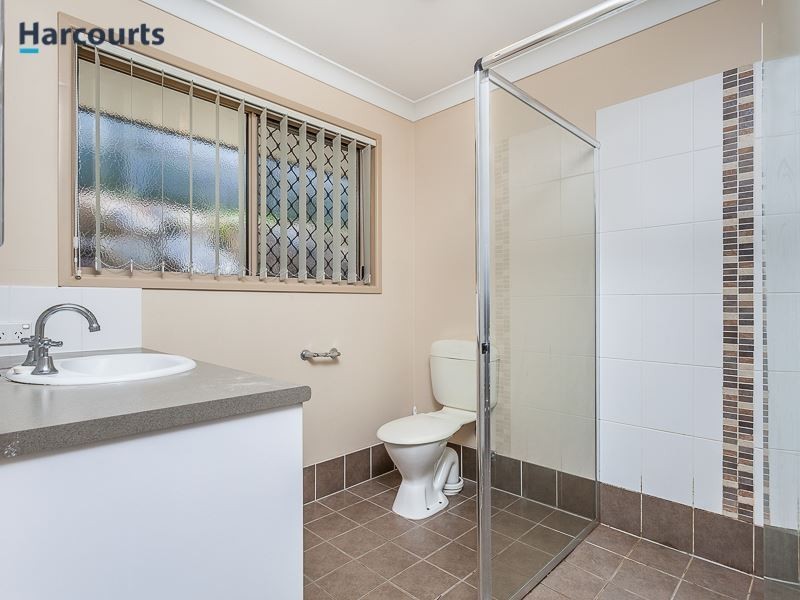3 Saturn Court, Mango Hill QLD 4509