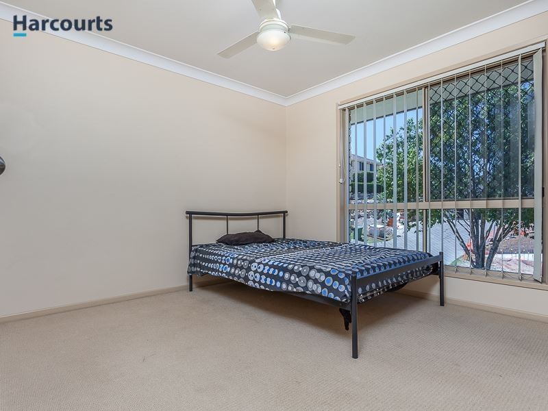 3 Saturn Court, Mango Hill QLD 4509