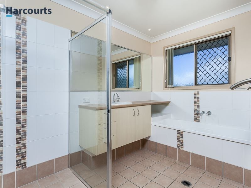 3 Saturn Court, Mango Hill QLD 4509