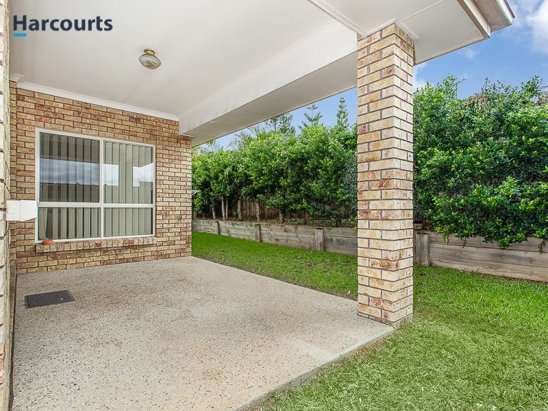 14 Brushtail Street, North Lakes QLD 4509