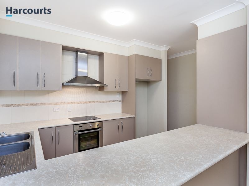 14 Brushtail Street, North Lakes QLD 4509