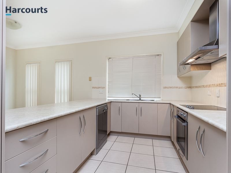 14 Brushtail Street, North Lakes QLD 4509