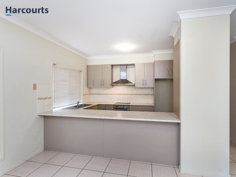 14 Brushtail Street, North Lakes QLD 4509
