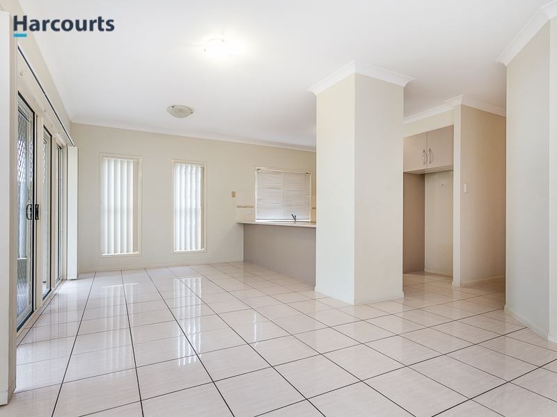 14 Brushtail Street, North Lakes QLD 4509
