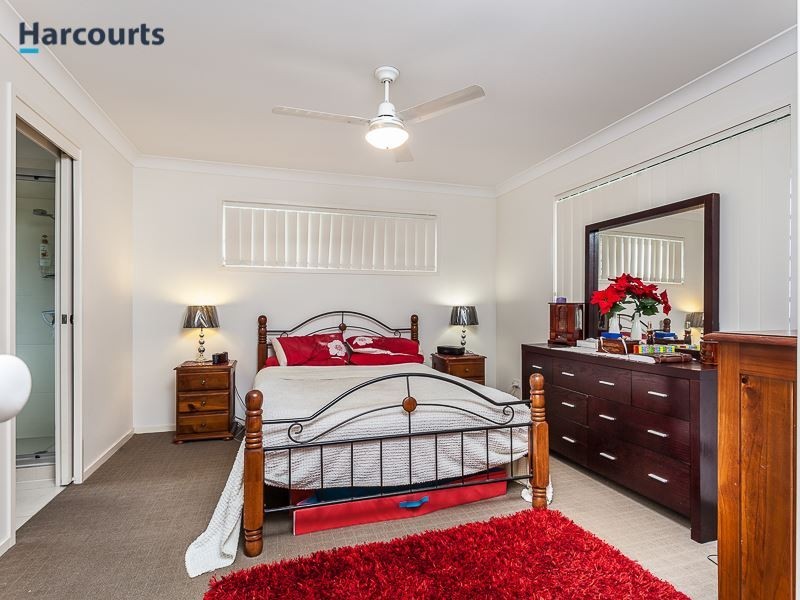 4 Terrace Court, Narangba QLD 4504