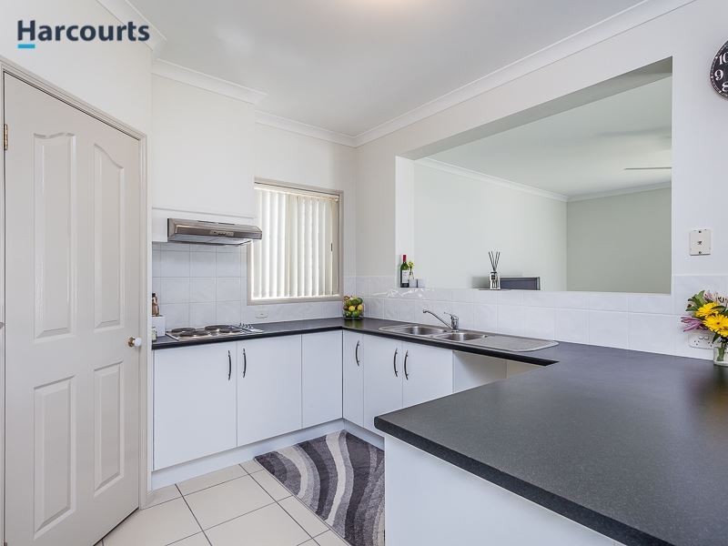 20 Echidna Parade, North Lakes QLD 4509