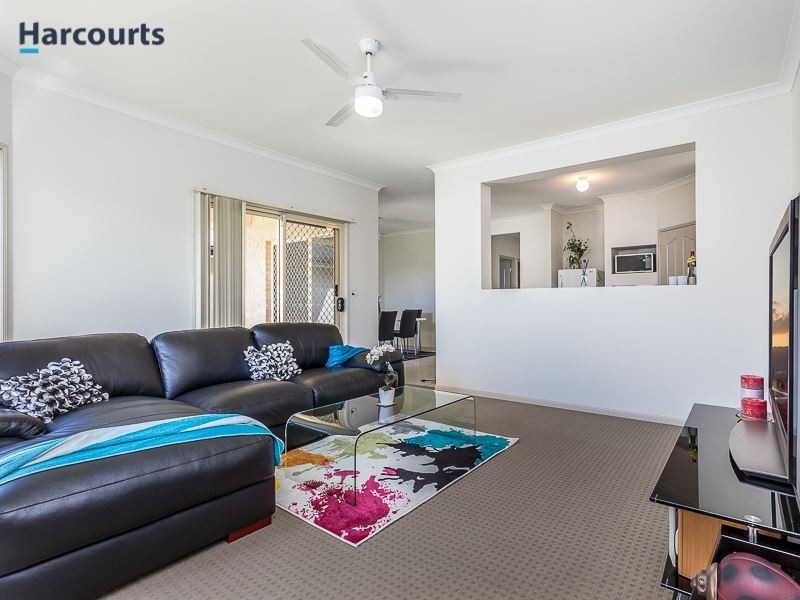 20 Echidna Parade, North Lakes QLD 4509