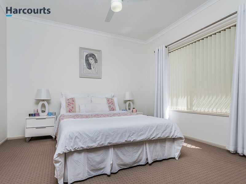 20 Echidna Parade, North Lakes QLD 4509