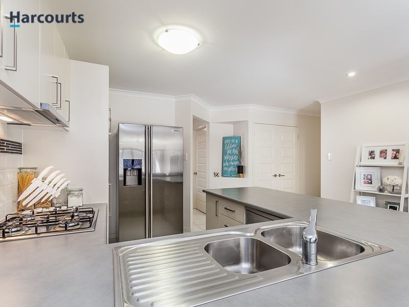 19 Nocturnal Promenade, Narangba QLD 4504