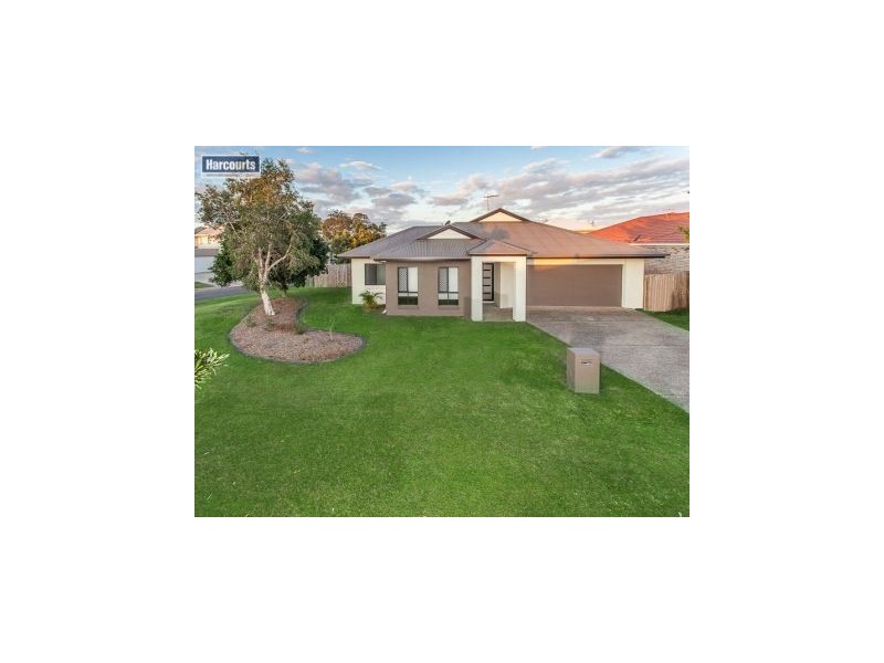 10 Dingo Street, North Lakes QLD 4509