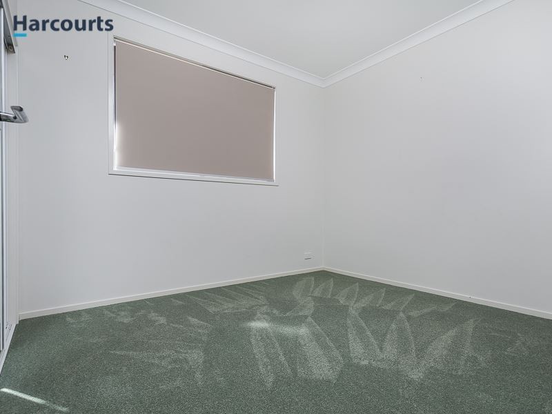 9 Millettia Close, North Lakes QLD 4509