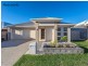 17 Markwell Crescent, Mango Hill QLD 4509