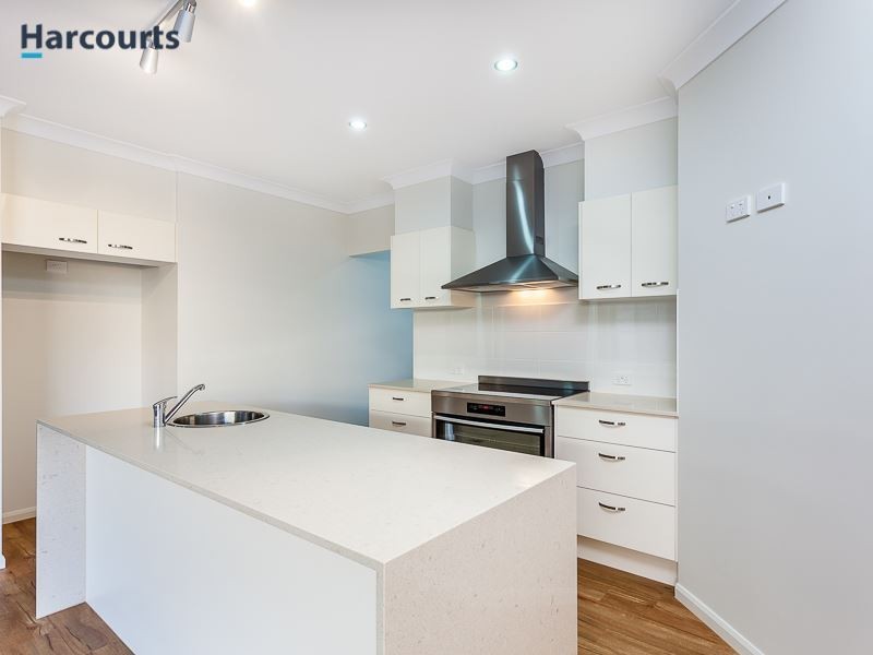 17 Markwell Crescent, Mango Hill QLD 4509