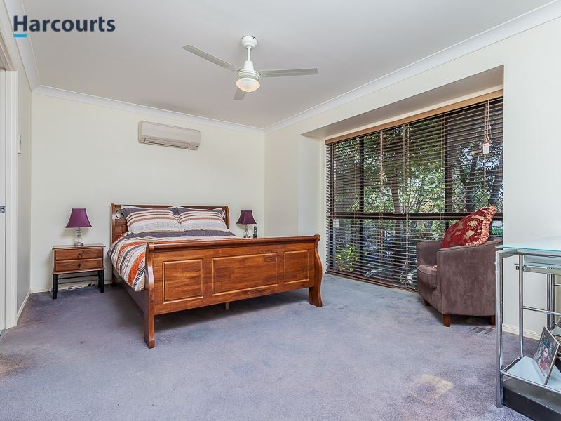 31 Whitfield Crescent, North Lakes QLD 4509