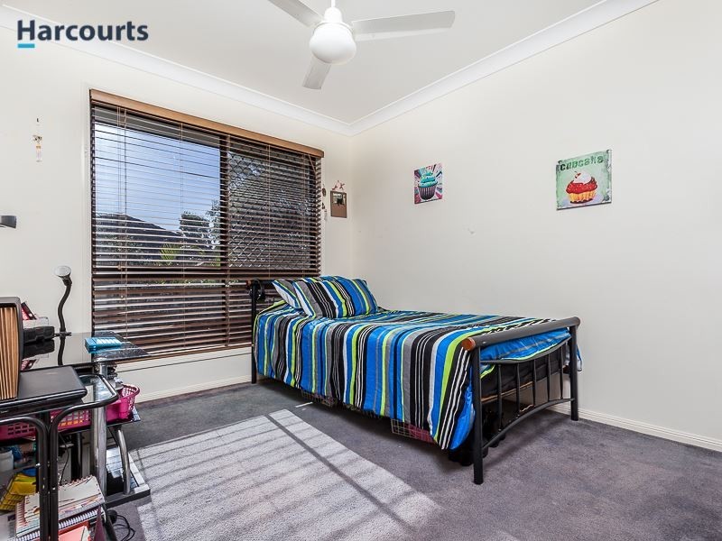 31 Whitfield Crescent, North Lakes QLD 4509