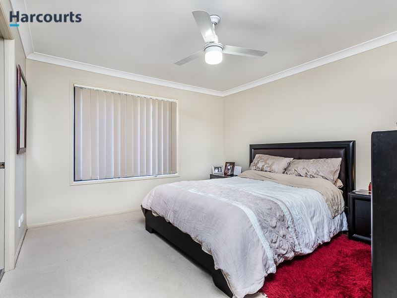 19 Macrusser Circuit, Warner QLD 4500