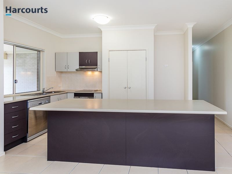 4 Backhousia Court, North Lakes QLD 4509