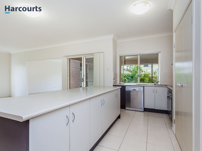 4 Backhousia Court, North Lakes QLD 4509