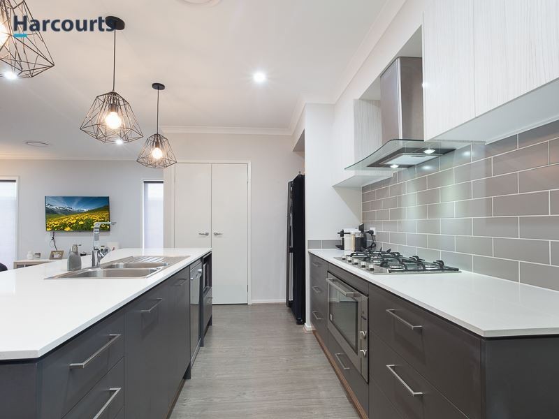 37 Hinton Crescent, Mango Hill QLD 4509