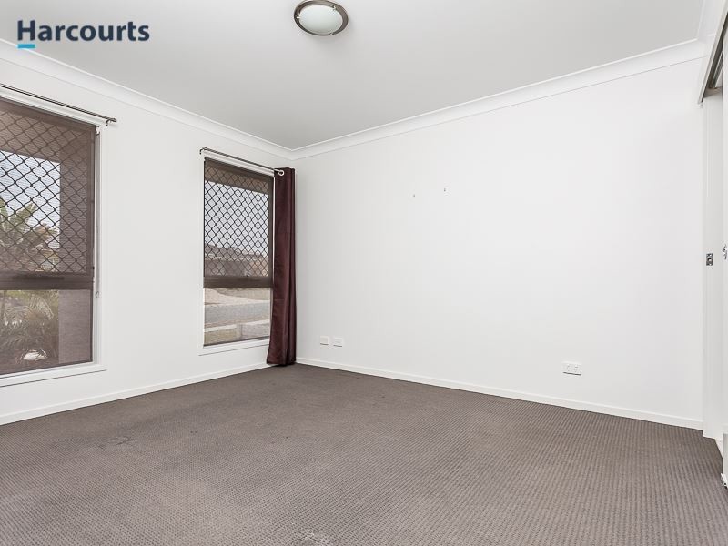 24 Peppercorn Street, Griffin QLD 4503