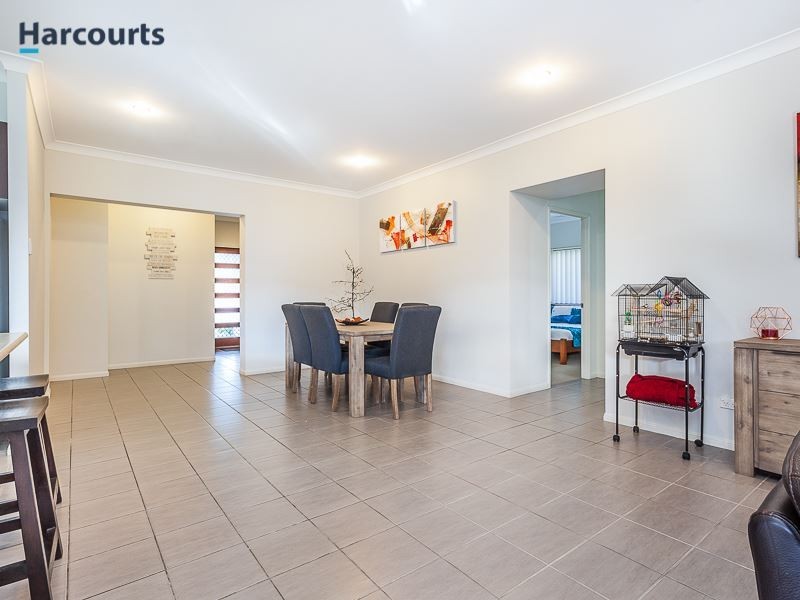 8 Brushtail Street, North Lakes QLD 4509